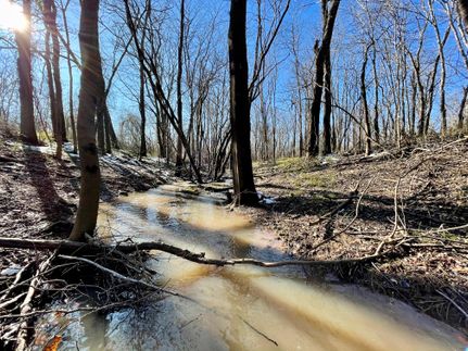 Property in Natchitoches Parish, Louisiana