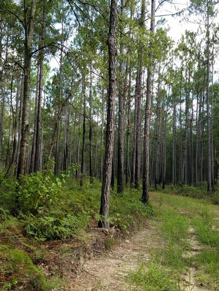 Property in Covington County, Alabama