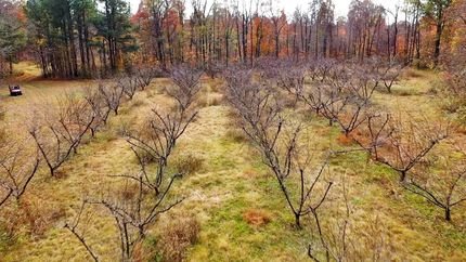 Property in Obion County, Tennessee