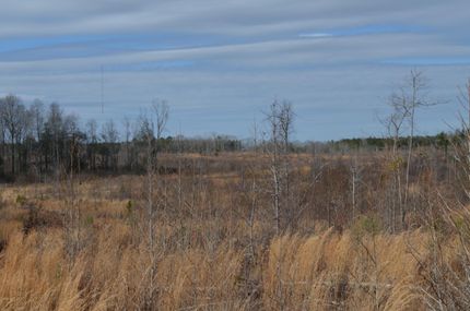 Property in Chambers County, Alabama