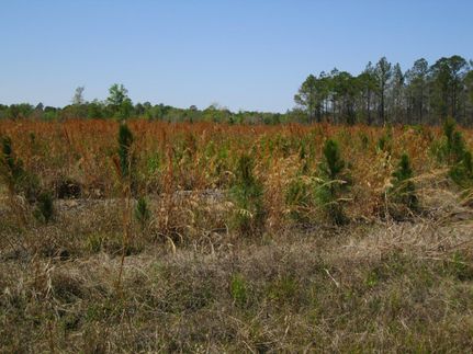 Property in Union County, Florida