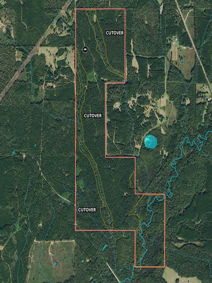 Property in Madison County, Mississippi