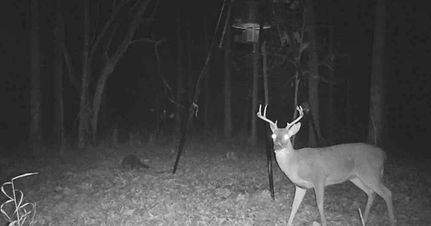 Property in Hunt County, Texas