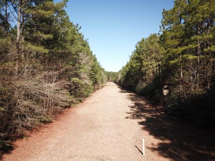 Property in DeSoto Parish, Louisiana