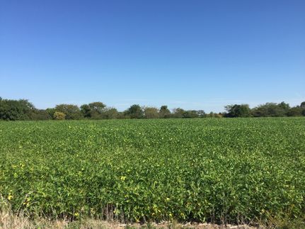 Property in Washington County, Illinois