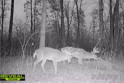 Property in Marion County, Illinois