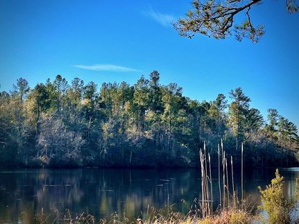 Property in Barnwell County, South Carolina