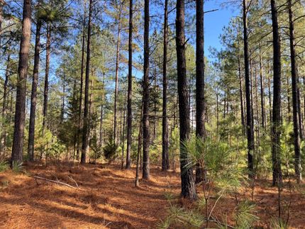 Property in Buckingham County, Virginia