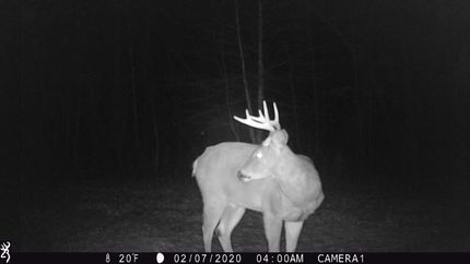 Property in Clark County, Missouri