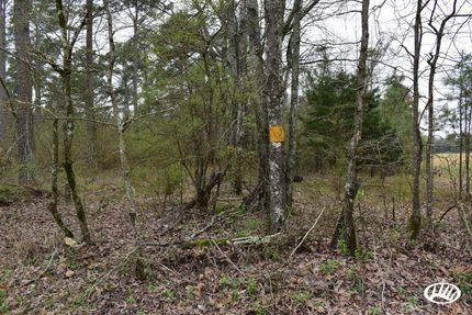 Property in Calhoun County, Arkansas