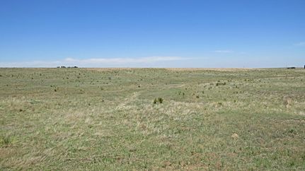 Property in Carson County, Texas