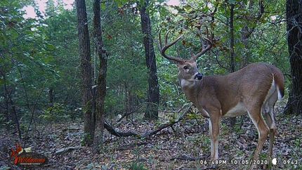 Property in Hughes County, Oklahoma