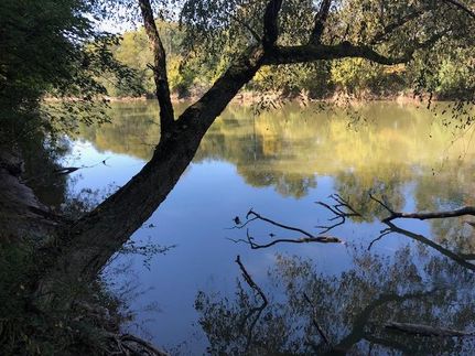 Property in Gordon County, Georgia