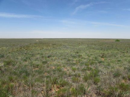 Property in Terry County, Texas
