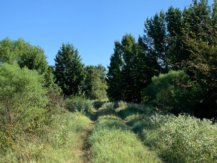 Property in Henderson County, Texas