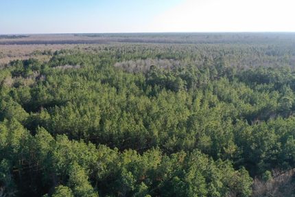 Property in Bladen County, North Carolina