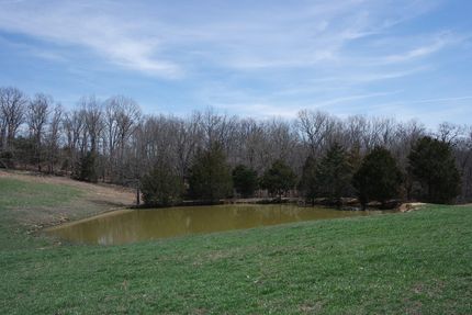 Property in Douglas County, Missouri