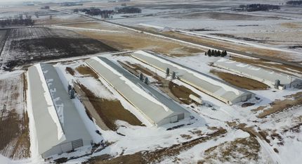 Property in Buena Vista County, Iowa