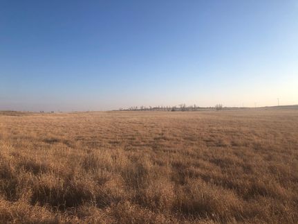 Property in Wheeler County, Texas