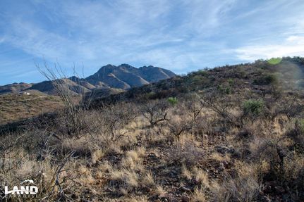 Property in Santa Cruz County, Arizona