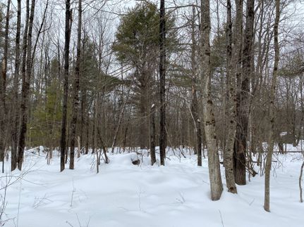 Property in Berkshire County, Massachusetts