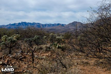 Property in Santa Cruz County, Arizona