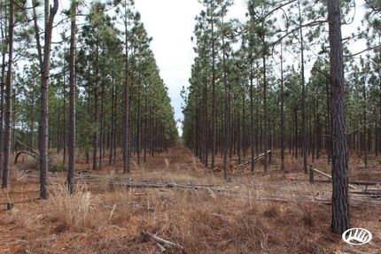 Property in Craven County, North Carolina