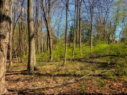 Property in Morris County, New Jersey