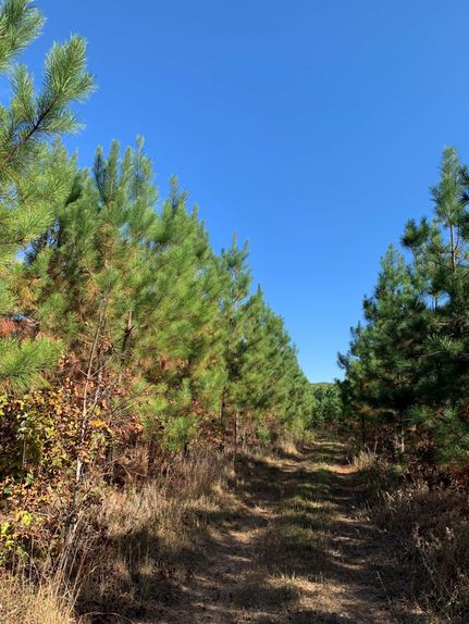 Property in Buckingham County, Virginia