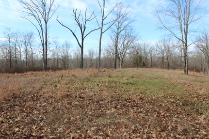 Property in Bollinger County, Missouri