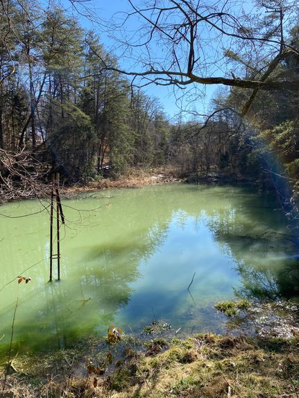 Property in Grainger County, Tennessee