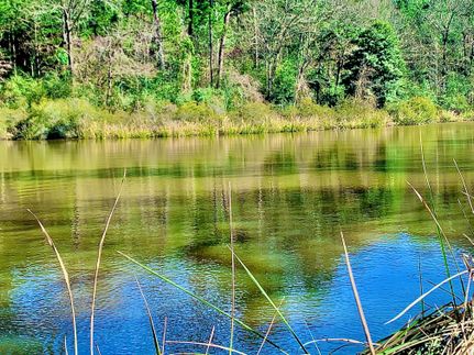 Property in Houston County, Texas