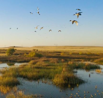 Property in Yuba County, California