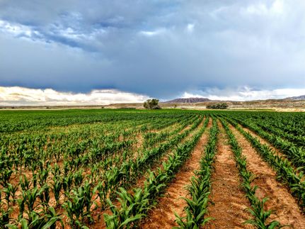 Hunting Land for sale in Big Horn County, Wyoming