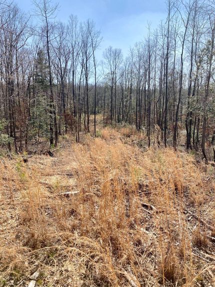 Property in Chilton County, Alabama