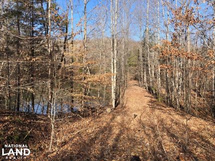 Property in McNairy County, Tennessee