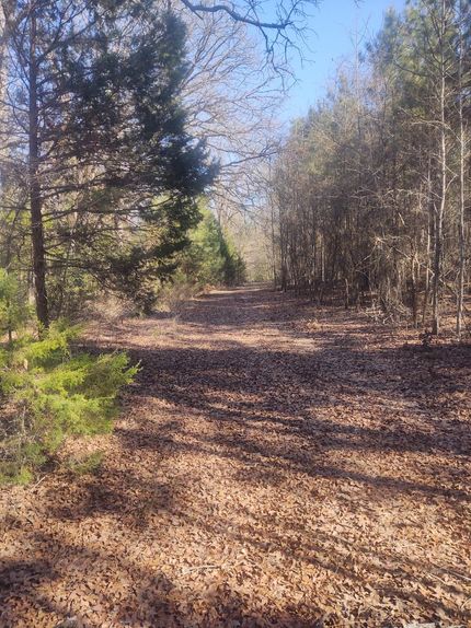 Property in Cass County, Texas