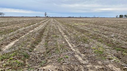 Property in Mississippi County, Arkansas