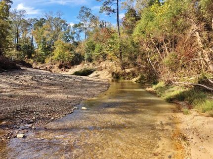 Property in East Feliciana Parish, Louisiana