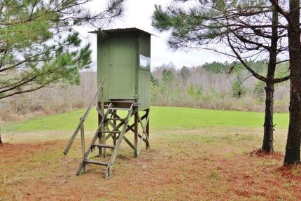 Property in Jasper County, Mississippi