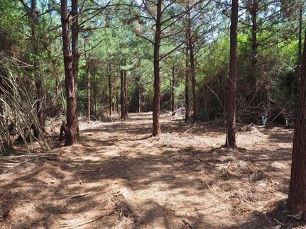 Property in Pike County, Mississippi