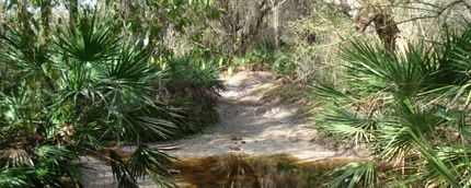 Property in Sarasota County, Florida