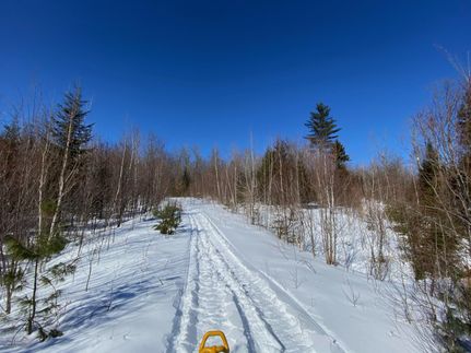 Property in Oxford County, Maine