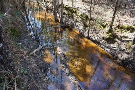 Property in Florence County, South Carolina