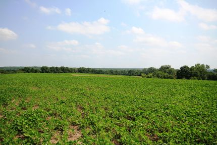 Property in Linn County, Missouri