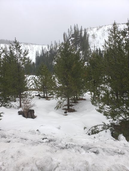 Property in Shoshone County, Idaho