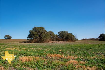 Property in Live Oak County, Texas