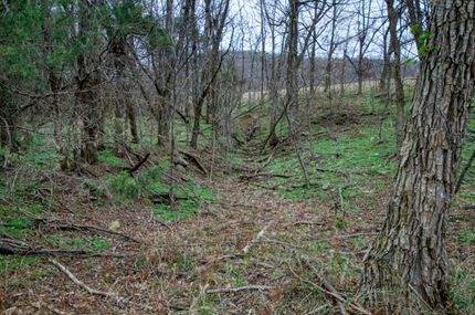 Property in Newton County, Arkansas