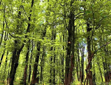 Property in Marquette County, Michigan