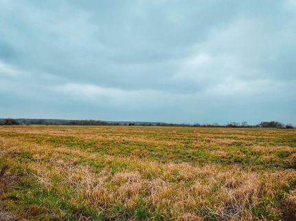 Property in Ellis County, Texas